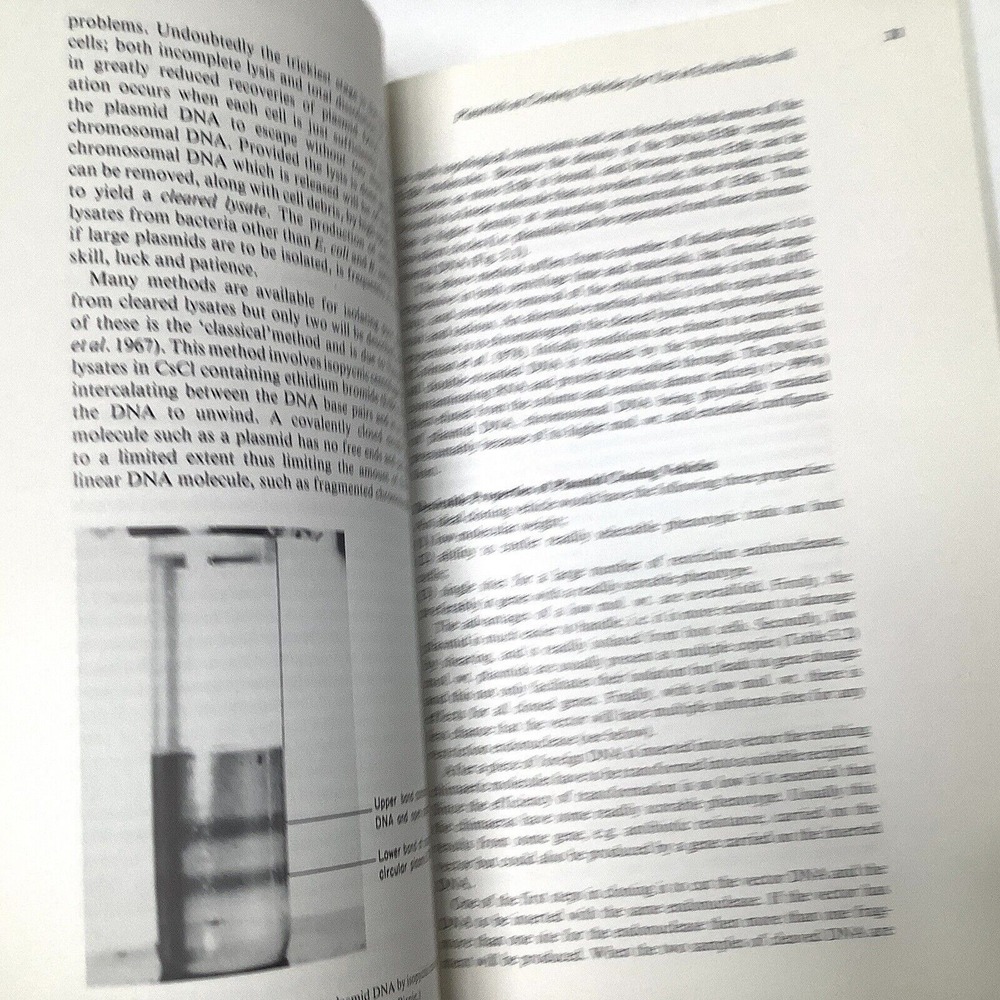 Principles of Gene Manipulation An introduction to Genetic Engineering Primrose - Picture 5 of 7